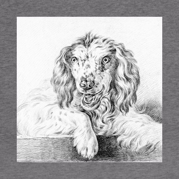 Dog by Jean Bernard by Vintage Sketches